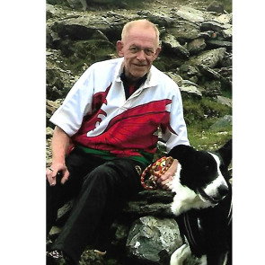 Notice Gallery for Gwyn DAVIES