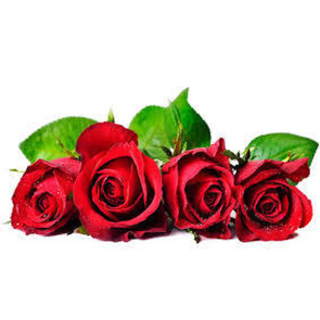 Photo of Fisher HILDA CONSTANCE