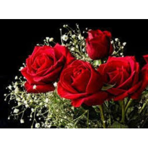 Photo of John Joseph DAVIS