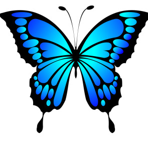 Notice Gallery for Francesca RIDEOUT