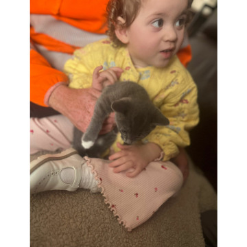 Photo for notice Daniel Edward Ronald BIRDSEY