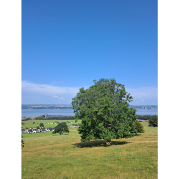 Notice Gallery for Michelle Rebecca GRAHAM