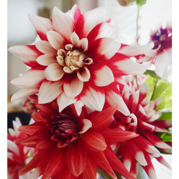 Photo for notice Colin VARNEY