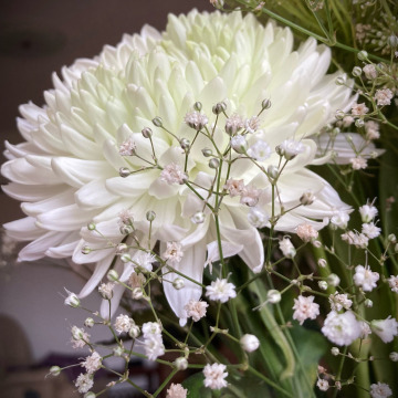 Photo for notice Colin VARNEY