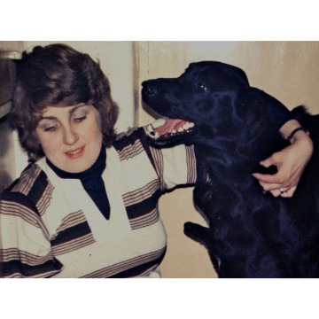 Photo for notice June SPOORS