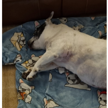 Notice Gallery for Daniel Jon FISHER