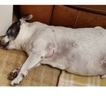 Notice Gallery for Daniel Jon FISHER