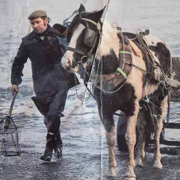 Notice Gallery for Alan DAVISON