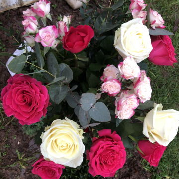 Photo for notice Vincent COLEMAN