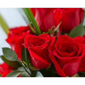 Photo of Jean JACKSON