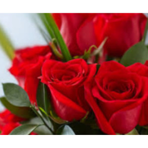 Photo of Susan Mary VARNALS