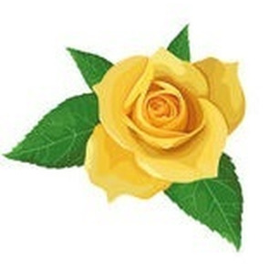 Photo of Rosemary BOLTON