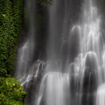 Photo for notice Peggy Doreen DUNN