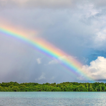 Photo for notice Peggy Doreen DUNN