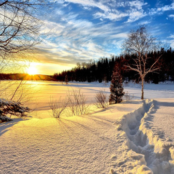 Photo for notice Peggy Doreen DUNN