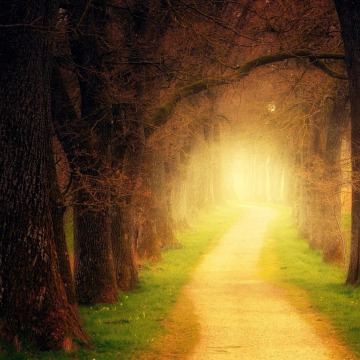 Photo for notice Peggy Doreen DUNN