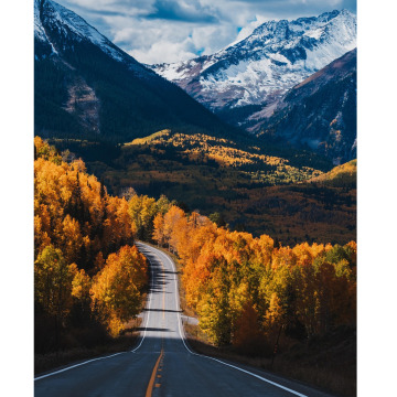 Photo for notice Peggy Doreen DUNN