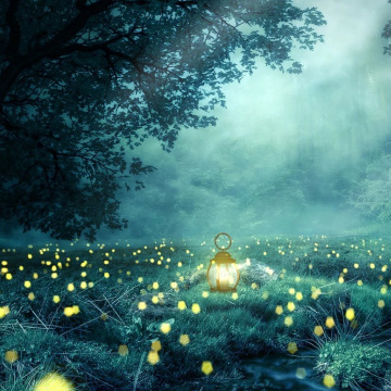 Photo for notice Peggy Doreen DUNN