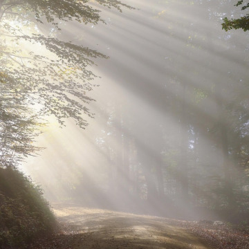 Photo for notice Peggy Doreen DUNN