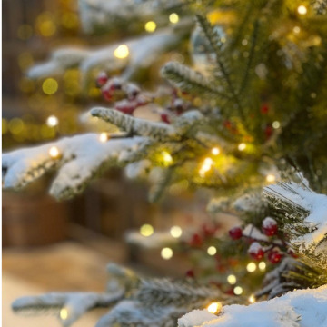 Photo for notice Peggy Doreen DUNN