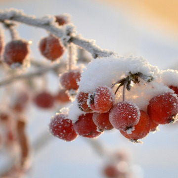 Photo for notice Peggy Doreen DUNN