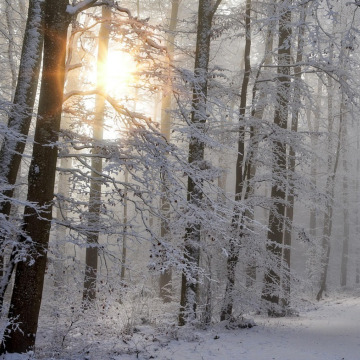 Photo for notice Peggy Doreen DUNN