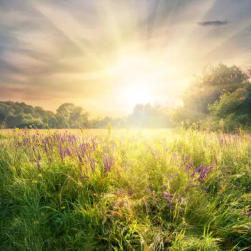 Photo for notice Peggy Doreen DUNN