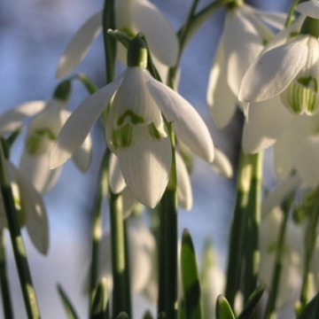 Photo for notice Peggy Doreen DUNN