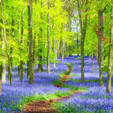 Photo for notice Peggy Doreen DUNN