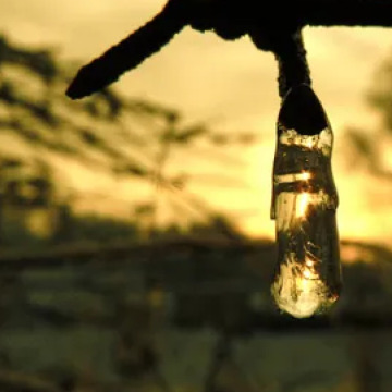 Photo for notice Peggy Doreen DUNN