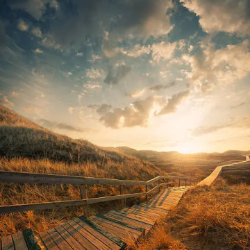 Photo for notice Peggy Doreen DUNN