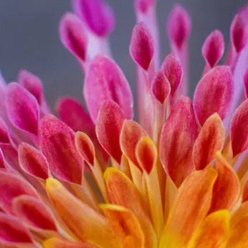 Photo for notice Peggy Doreen DUNN