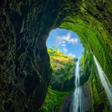 Photo for notice Peggy Doreen DUNN