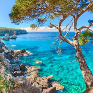 Photo for notice Peggy Doreen DUNN