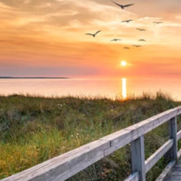 Photo for notice Peggy Doreen DUNN