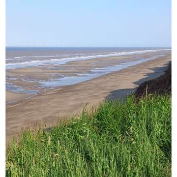 Notice Gallery for Norma WALDEN