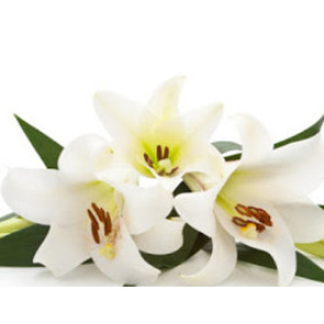 Photo of Colin Kenneth ALDRIDGE