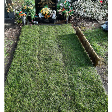 Photo for notice Joan (Rogers) GOLDSTRAW