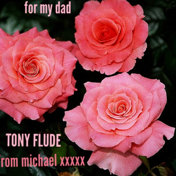 Tribute photo for Barbara May FLUDE
