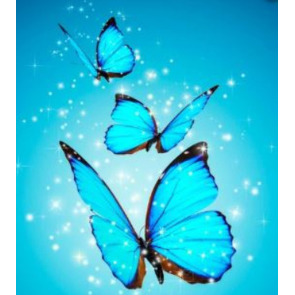 Photo of Heather Ann DAVIS