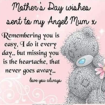 Notice Gallery for Lily GAFFNEY