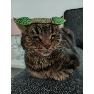 Photo for notice John McCORMICK