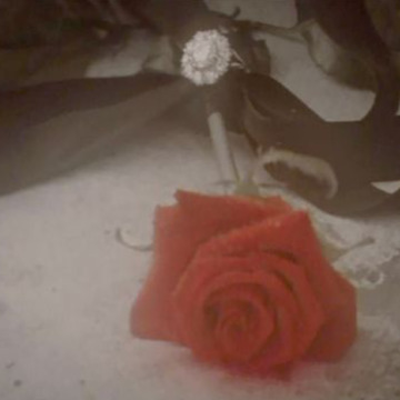 Notice Gallery for Mary ELLIOTT