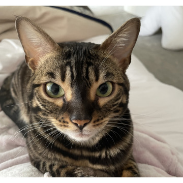 Notice Gallery for Minnie RATHERAM