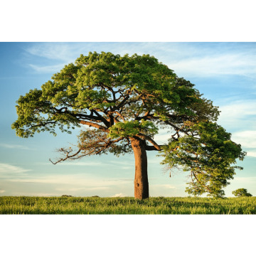 Photo for notice Barry CREE