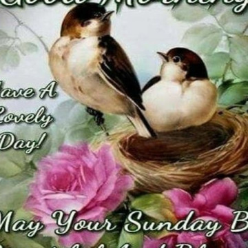 Photo of Derek HOLDING