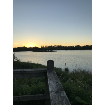 Photo of Helen ONIONS