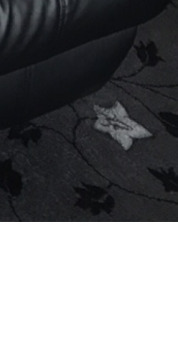 Photo of Lar FRANCIS