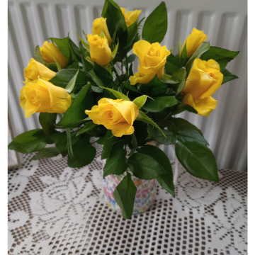 Notice Gallery for Kathleen Isabella WILSON