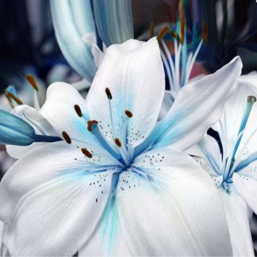 Photo for notice William Henry ATTENBOROUGH